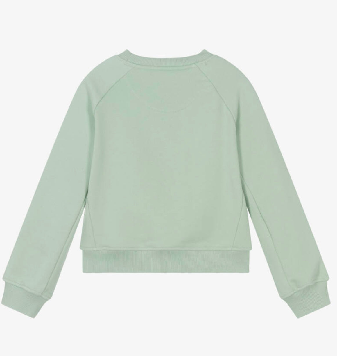 Levis green jumper