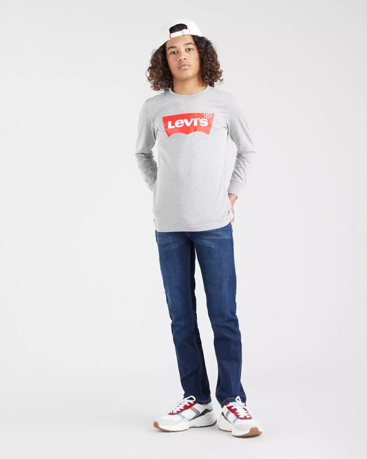 Levis 511 slim rushmore